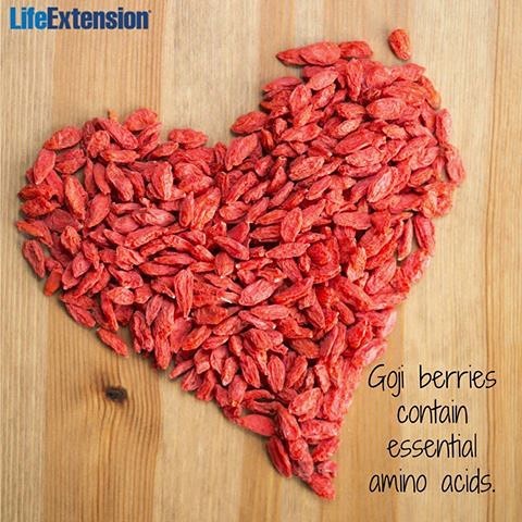 Life Extension Goji berries