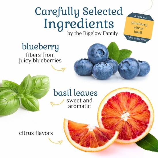 Bigelow Botanicals Cold Water Infusion Blueberry Citrus Basil