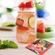 Bigelow Botanicals Cold Water Infusion Watermelon Cucumber Mint