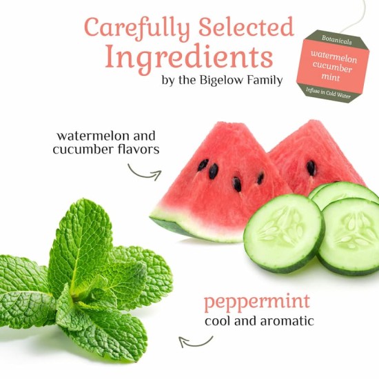 Bigelow Botanicals Cold Water Infusion Watermelon Cucumber Mint